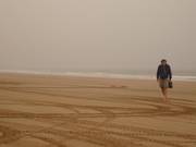 Strand bei Ebbe Strand bei Ebbe