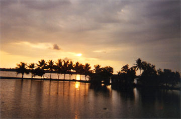 Sonnenuntergang, Palmen im Vordergrund
